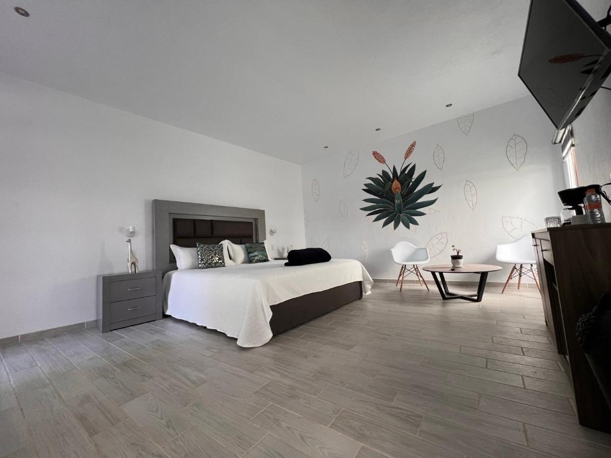Casa Clementina Otel Tequila Dış mekan fotoğraf